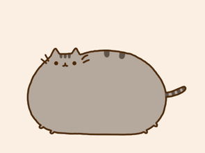 一只长的很肥很萌的猫,灰色的,没脖子,有很多动漫表情动态图,叫什么名字 