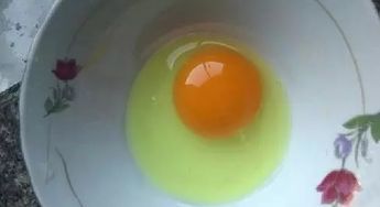 蛋清是绿色的能吃吗 