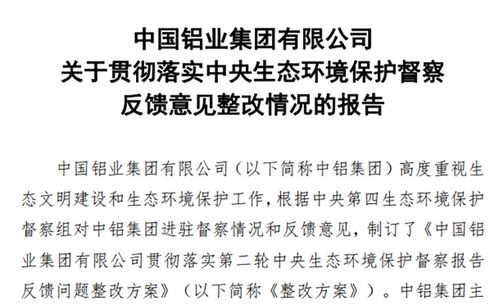 督查企业问题整改方案范文,环保督察整改原则？