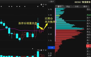 300870明天还能封涨停吗？