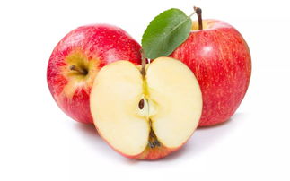 我省早熟苹果销价高于上年 洛川等地每公斤6至8元