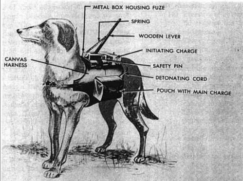 狁猸造句-反犬旁的字有哪些？