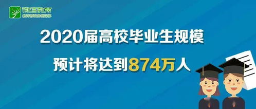 疫情下的就业季,你找到工作了吗 专家总结 四字诀 深度解读就业政策为求职赋能