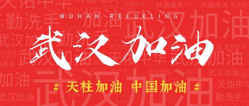 婚礼延期幸福不延期 天柱560多位新人推迟婚礼共抗疫情