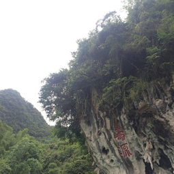 凤山旅游景点排行榜,凤山县旅游景点