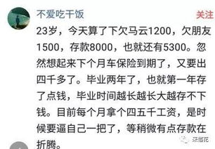 能说说你目前负债有多少吗 网友 欠网贷,信用卡快20个了