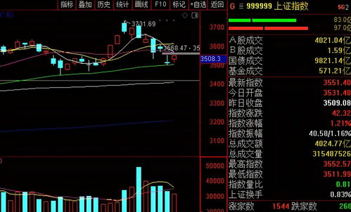 股市为什么会上下波动