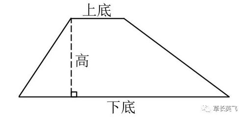 如何用数方格的方法求圆的面积  第1张