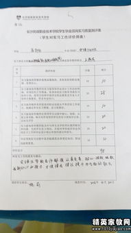 小学顶岗实习实习内容范文_kpi评语范文？