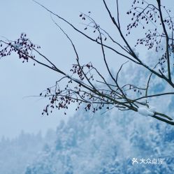 电话,地址,价格,营业时间 崇州市生活服务 