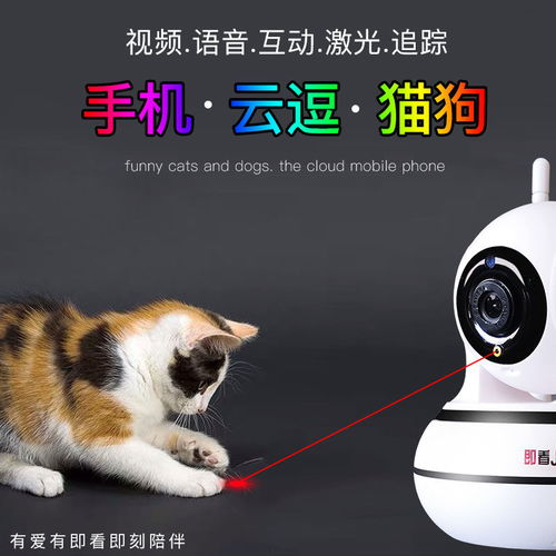 远程逗猫狗宠物监控摄像头激光玩具无线逗猫棒手机语音对讲视频