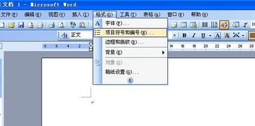 word编号排版技巧(word 编号)