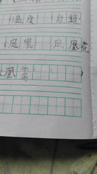 凰的组词2个字