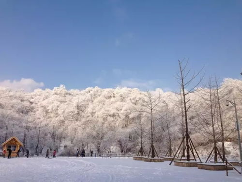 吃火锅爬西岭雪山逛宽窄巷子 这个冬天嗨起来 