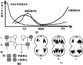 遗传病的特征