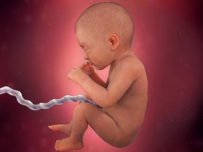 原创孕期做这2项检查时，如果胎儿不配合，那将来多半是个调皮蛋