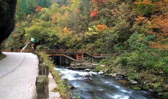 4月20日望天鹅风景区开放啦 正式开启2019年度旅游序幕