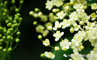 一周靓点美食 春分 时节话饮食