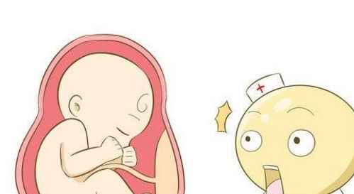 原创赶在这个月份怀上宝宝的孕妈真是太幸福了，备孕妈妈可别不当回事