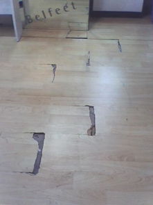 我家的地板破了 可以用什么办法搞定呢 