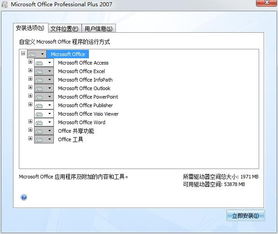 microsoft office professional plus,独家优惠microsof office professioal plus，高效办公首选！