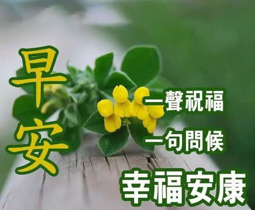 天冷了的早安短信问候祝福语大全,天冷了的早上好问候图片2019最新美图