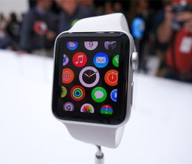 公司星盘点 Apple Watch或3月上市 中国第二批发售