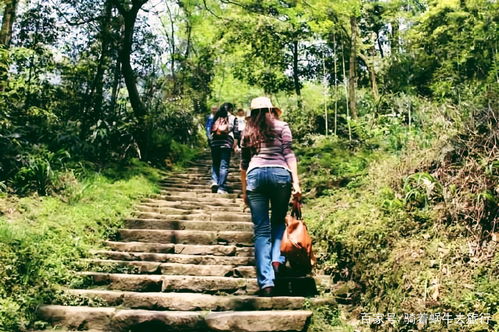 冬天不建议登山的原因是(冬天登山要准备些什么东西)