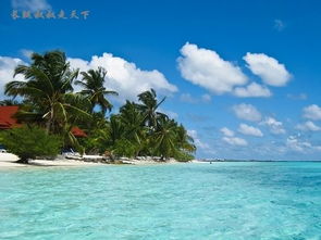 马尔代夫尼亚岛航拍捕捉绝美风光的最佳去处（马尔代夫海岛旅游）