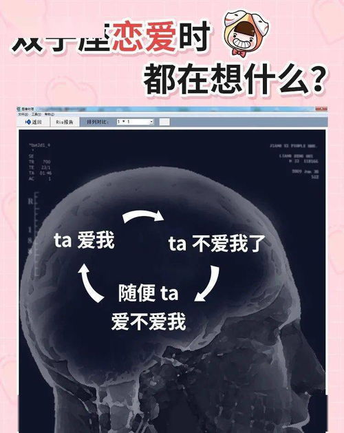 双子座活该被分手 