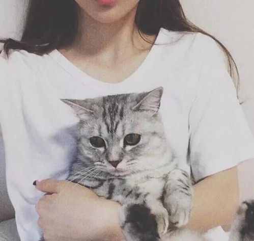 为什么女生,更爱养猫不养狗 这几点大概是原因