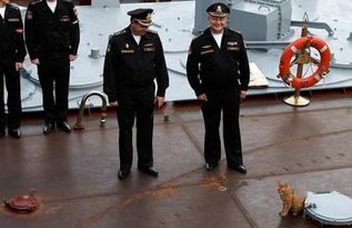 普京手下 海军 奔赴战场 海军带的这只猫不简单