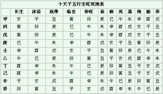 八字排盘中的胎是什么意思 