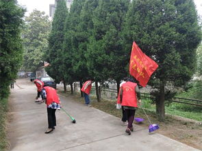 巢湖闸社区党员志愿者开展 清除杂草,美化环境 主题党日活动