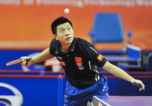 2014乒乓球亚洲杯4强,2011年亚洲杯中国队最终成绩