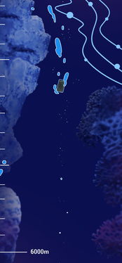 海底一万米长图,万米海底图:探索海洋最深处的奥秘