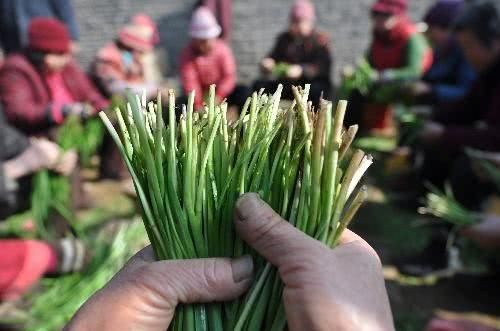 痔疮 害怕 这几种食物,改善老痔疮