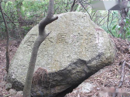 珠海圆明新园 刘府风水石 与前山彭城道刘邦后裔有莫大渊源