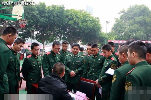 参战兵养老保险交多少年关于参战已退伍老兵还未能办理养老保险,国家有无帮扶新政策 