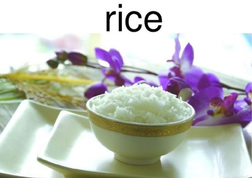 rice是不是可數(shù)