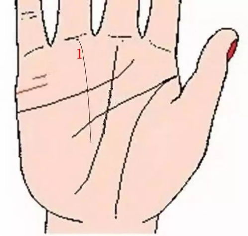 无名指 水星纹,我是女生，右手无名指下方有星形手纹，代表什么意思？