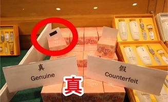 查获2500多件假货,香港的名牌假货很多吗 (香港假货泛滥)