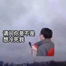 天气冷搞笑表情包 请问你是不是想冷死我