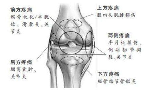 4岁就靠腿长冲上热搜 老妈竟是身材吊打巅峰奚梦瑶