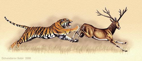 为什么一群鹿不攻击老虎 即使它们的数量远远超过老虎