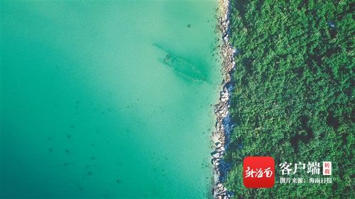 乡音海南 在海天一色的大洲岛上,与金丝燕共舞 