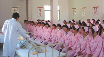 建议：贵州省卫校：培养医疗人才的摇篮，为健康事业注入活力