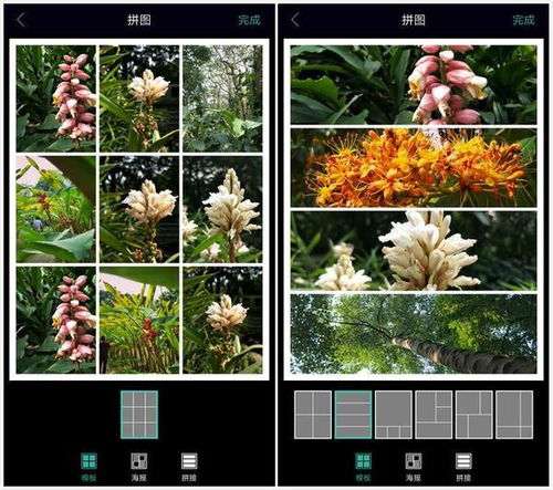 oppo手机相册怎么拼图 