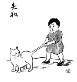 从今天起,做个养猫的人