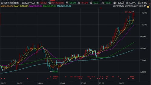 上市公司的控股股东